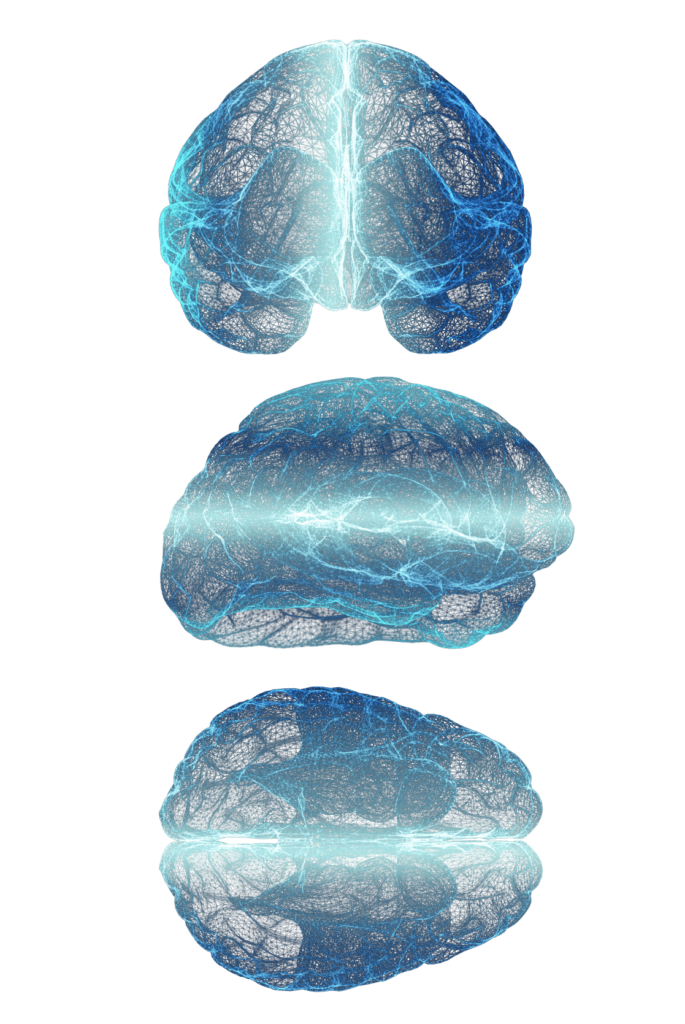 3brains_left