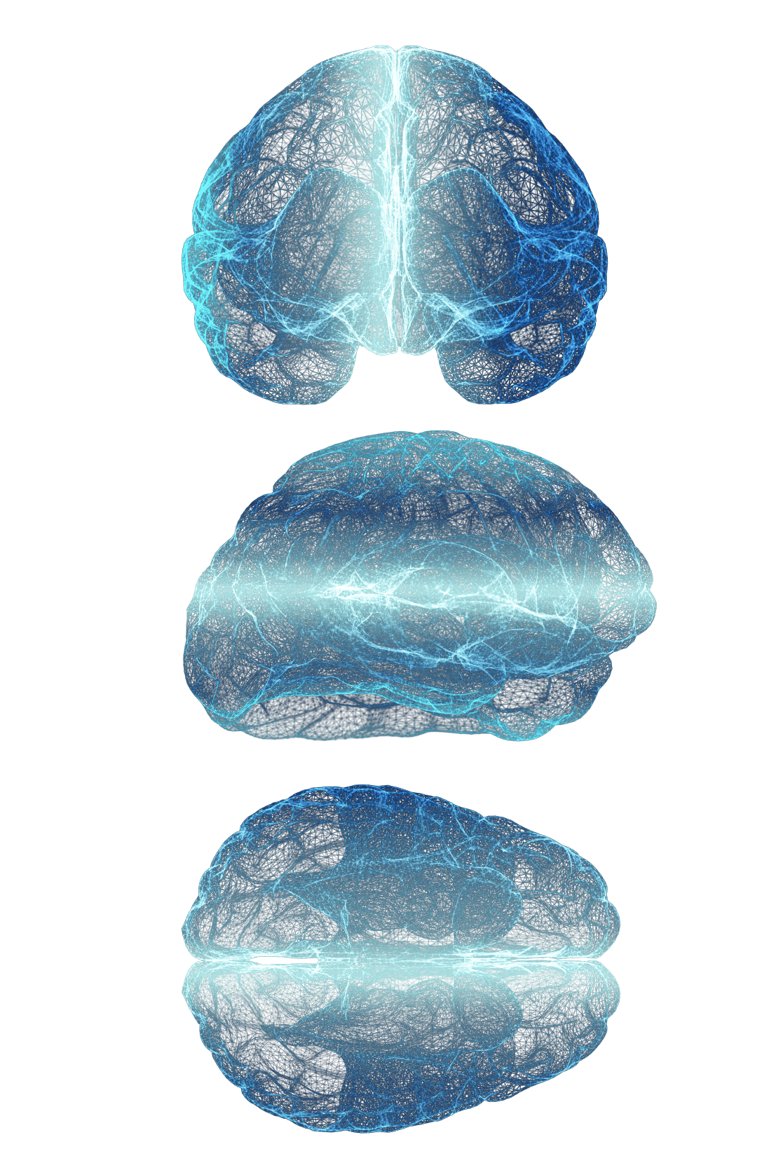 3brains_left