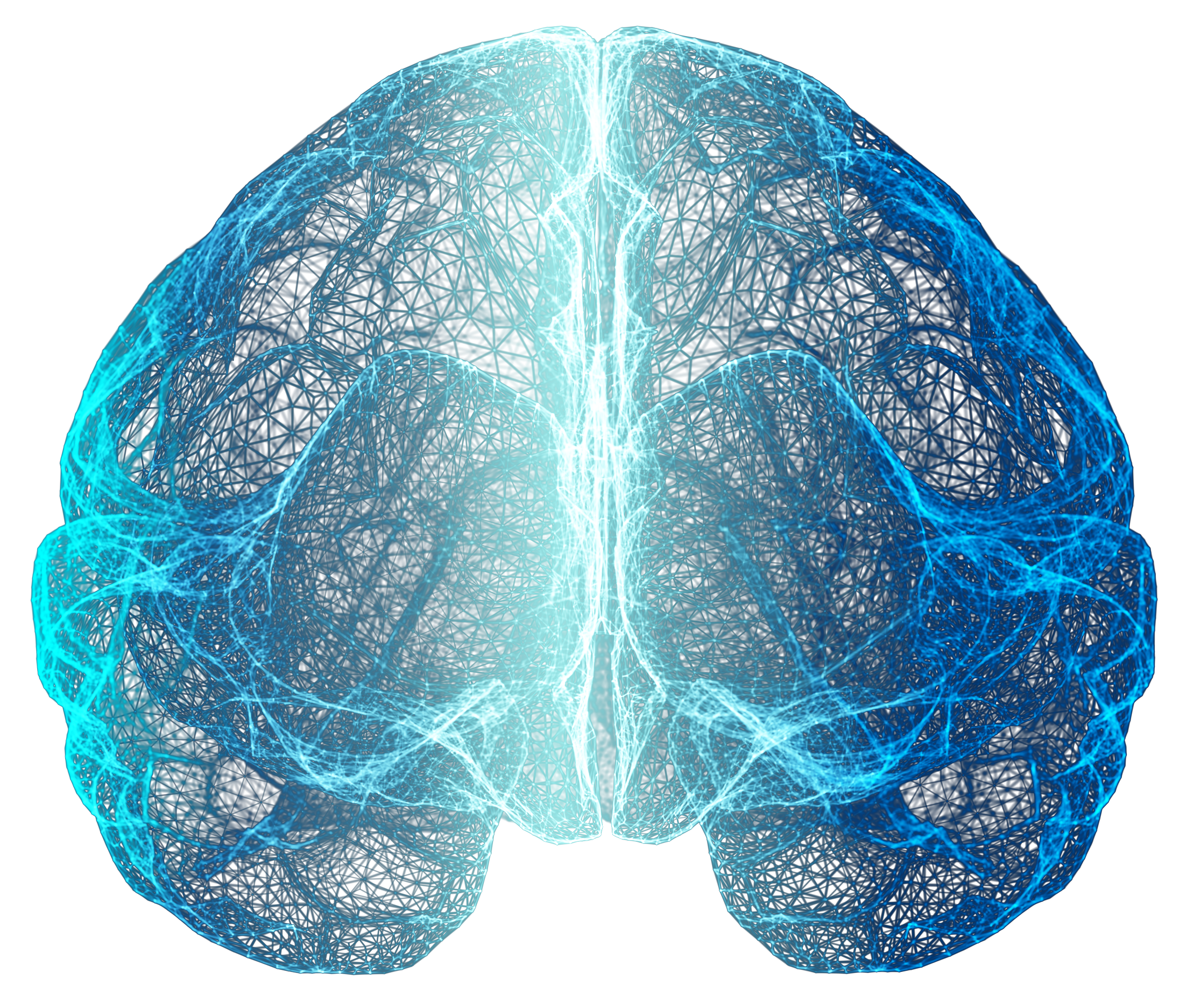 Qynapse_BRAIN_RIGHT_V2